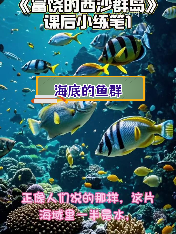 西沙群岛的海底世界:鱼儿穿梭,形态各异