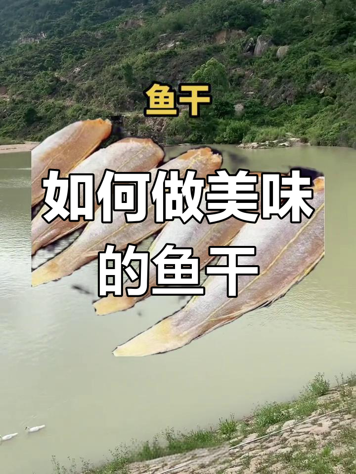 鱼干制作揭秘,如何做出美味又健康的鱼干