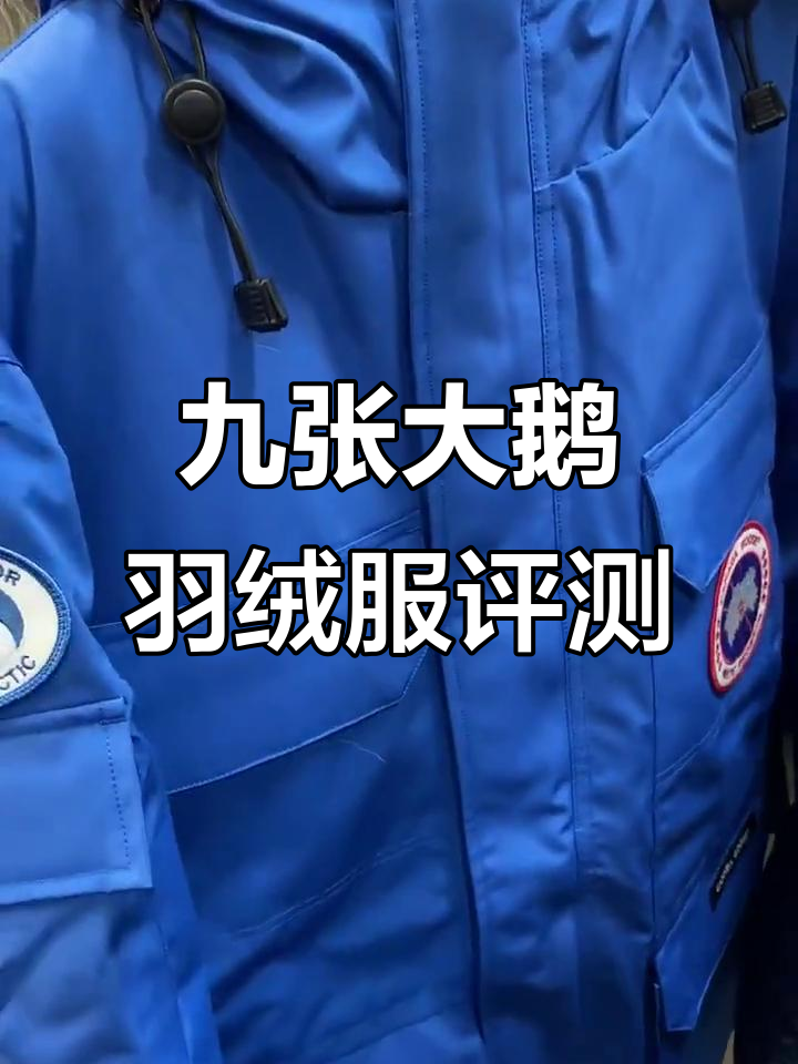 大鹅羽绒服测评:保暖效果如何?细节全解析