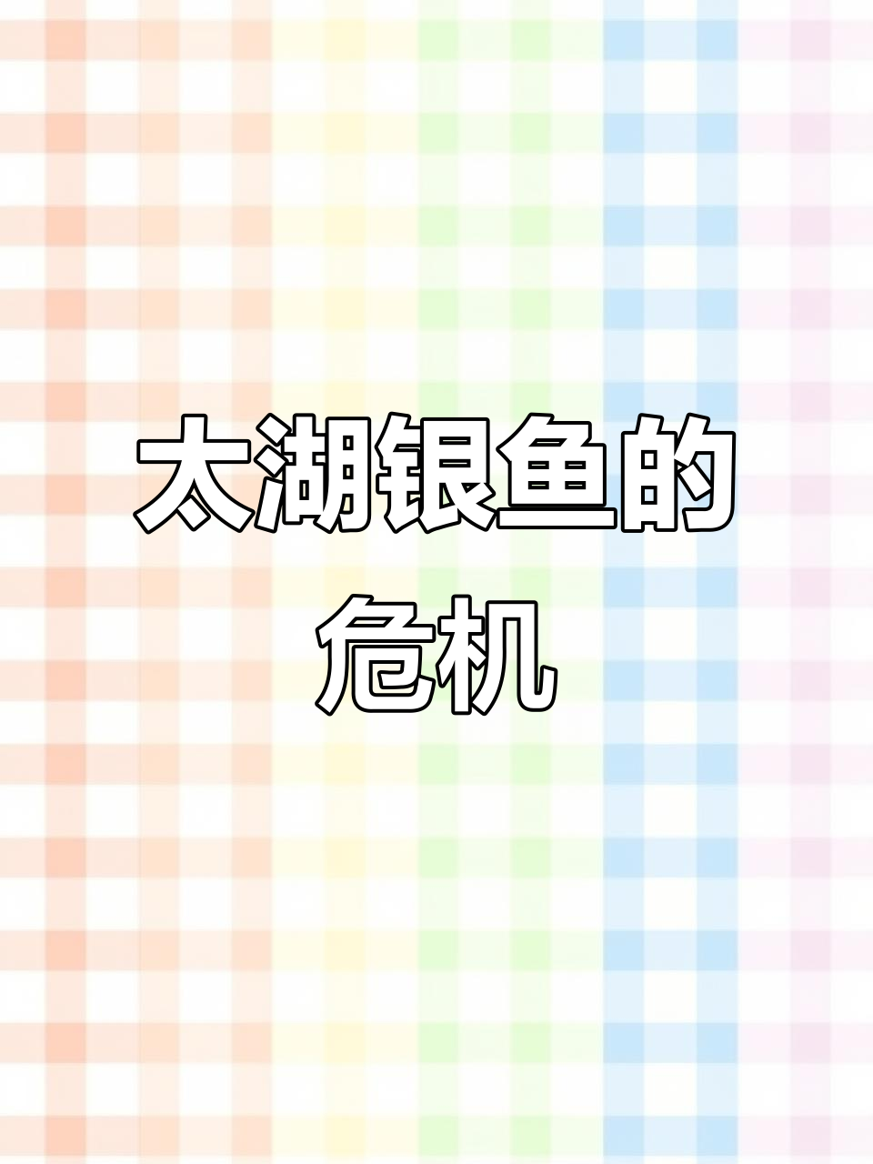 曾是“水中黄金”的太湖银鱼，如今为何被多地列入生态黑名单？