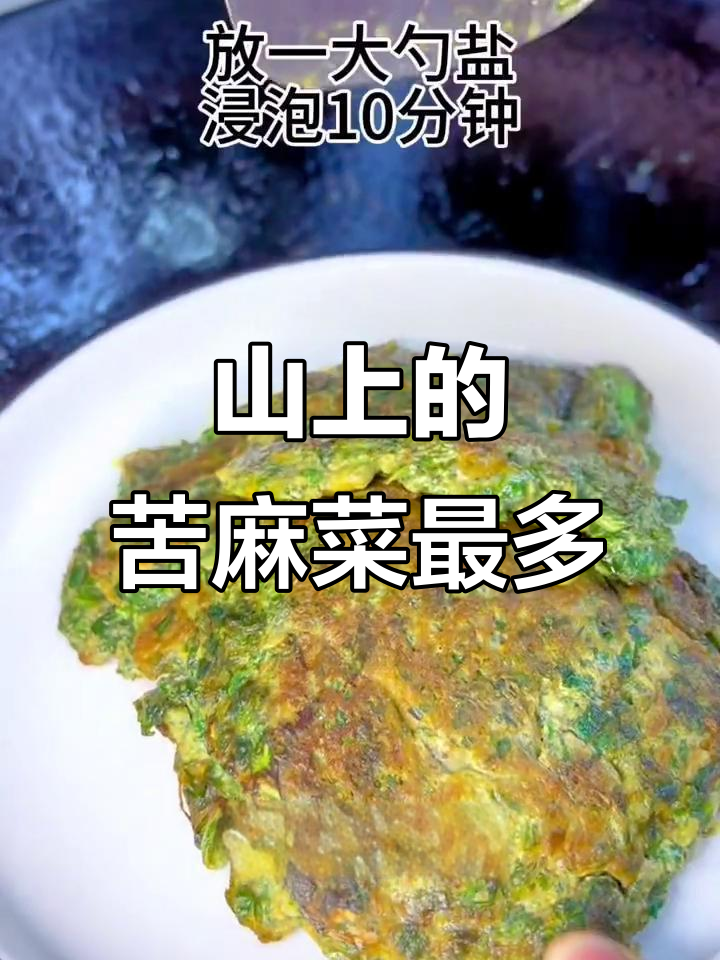 苦麻菜与蒲公英傻傻分不清，山上野菜大丰收
