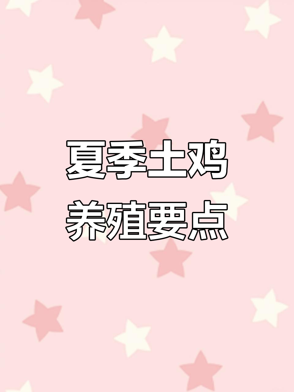 夏季土鸡散养技巧,三黄鸡苗优质选择