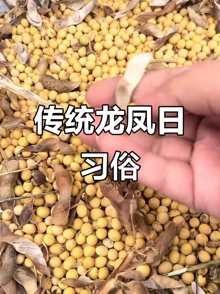 龙凤日吃酸菜饺子,黄豆做豆腐忙起来