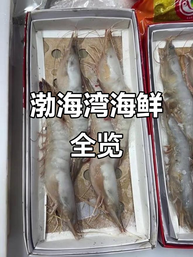 渤海湾海鲜大赏:对虾、目鱼平鱼一应俱全,礼盒装更方便