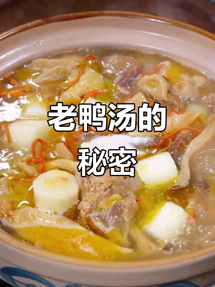 炖老鸭汤，山药菌菇搭配，鲜美又简单
