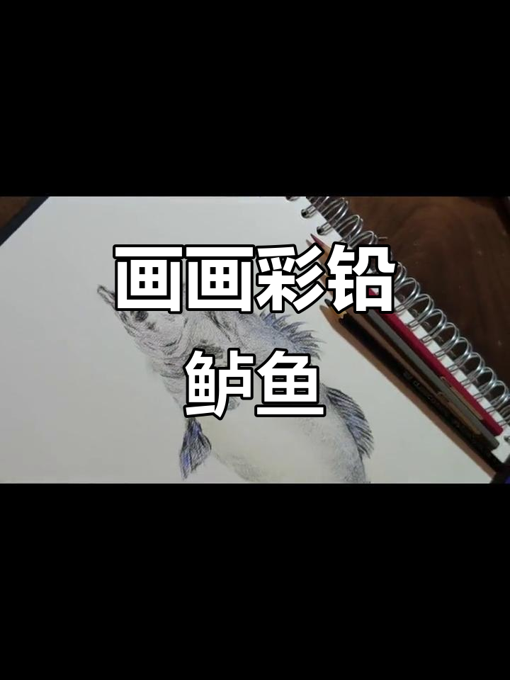 用彩铅画鲈鱼，简单又有趣