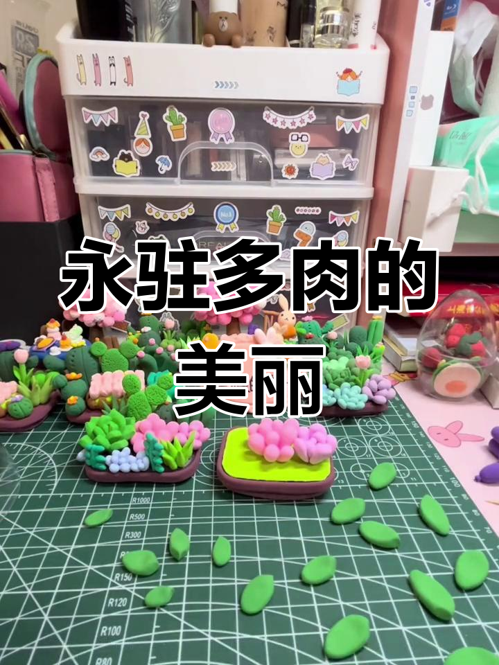 多肉虽美,难养?用粘土留住它的永恒美丽!