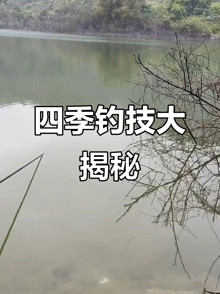 24节气钓鱼歌,每个季节的鱼情变化全解析