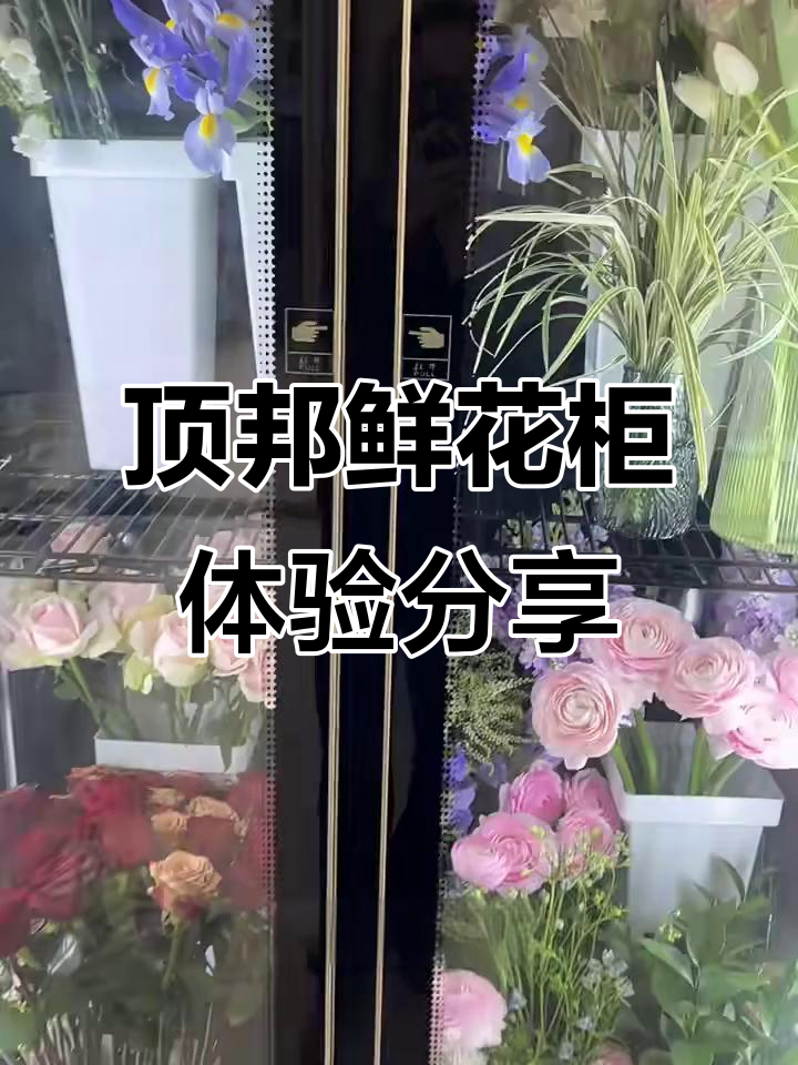 鲜花冷风柜使用心得,轻松保鲜不吹花头