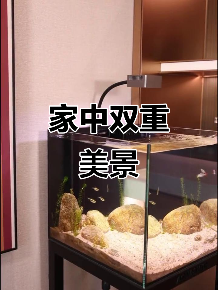 酒柜与鱼缸的完美融合,静谧浪漫尽显家居新风尚!