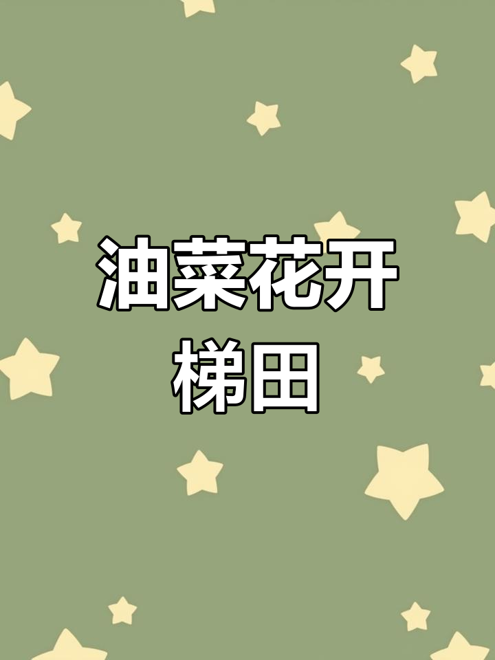 覆卮山梯田油菜花盛开,春日如金色画卷般绚烂
