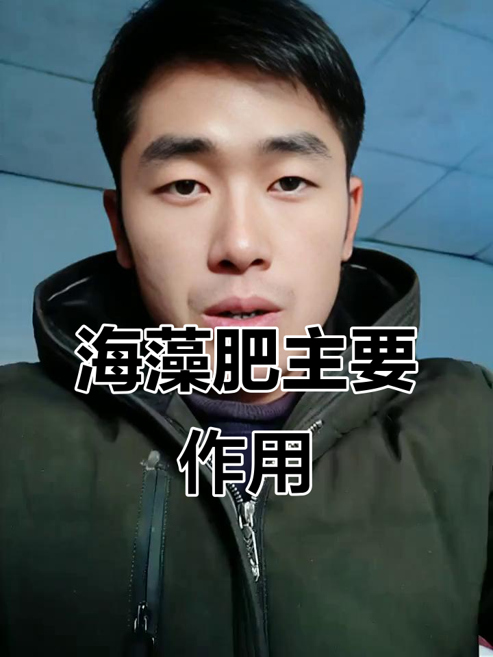 海藻肥的七大功效,提升作物抗性效果显著