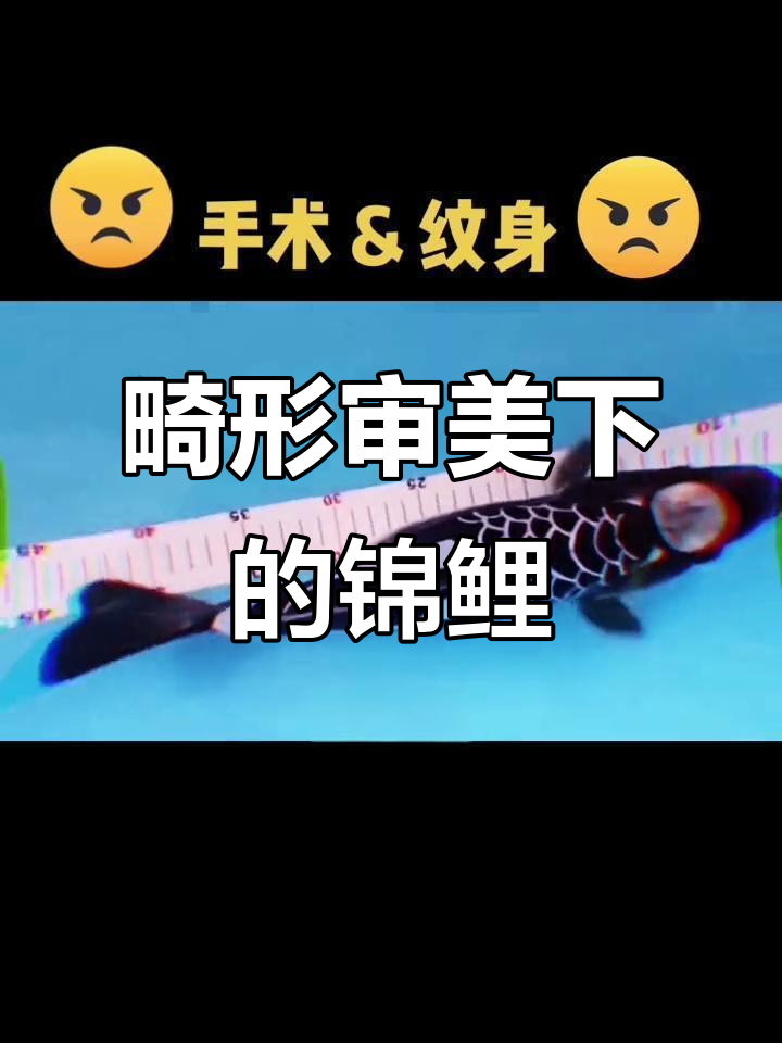 锦鲤整容风潮:从去斑到纹身,鱼命堪忧