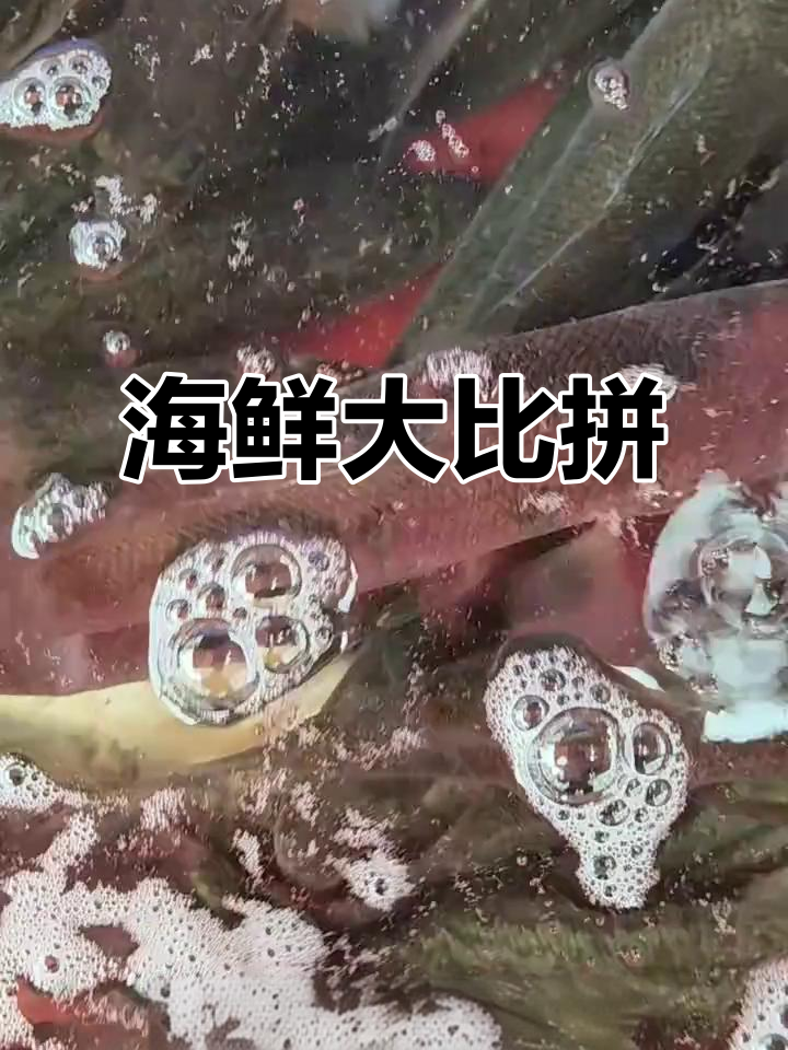 9月26日海鲜价格:鲈鱼、虾类及鱼类一网打尽!
