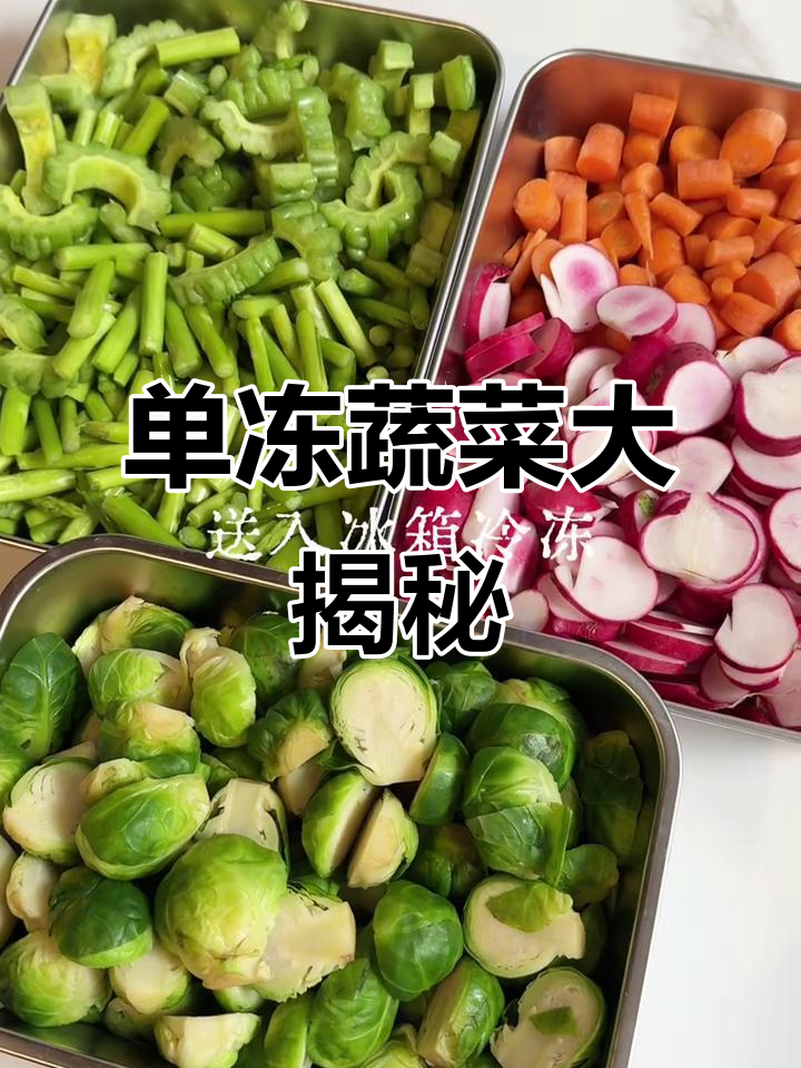 蔬菜单冻体验，沉浸式感受冷冻魅力