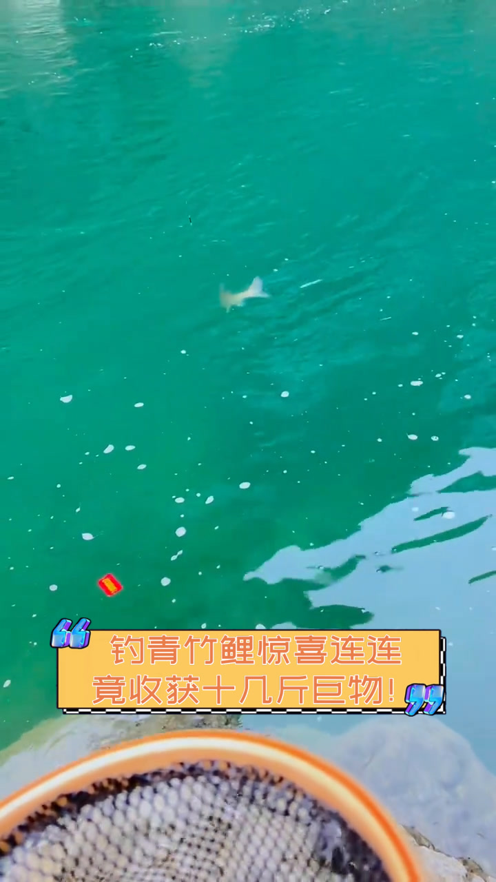 钓青竹鲤惊喜连连,竟收获十几斤巨物!
