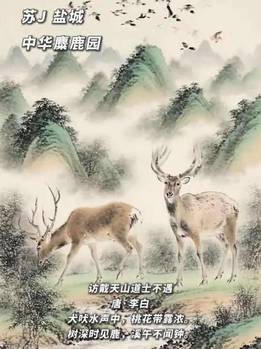 发现唐诗里的江苏，感受国画的意境之美