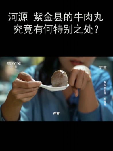 河源 紫金县的牛肉丸究竟有何特别之处?