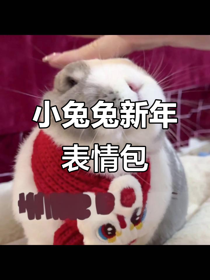 新年要红包?快用小兔兔表情包暗示朋友!