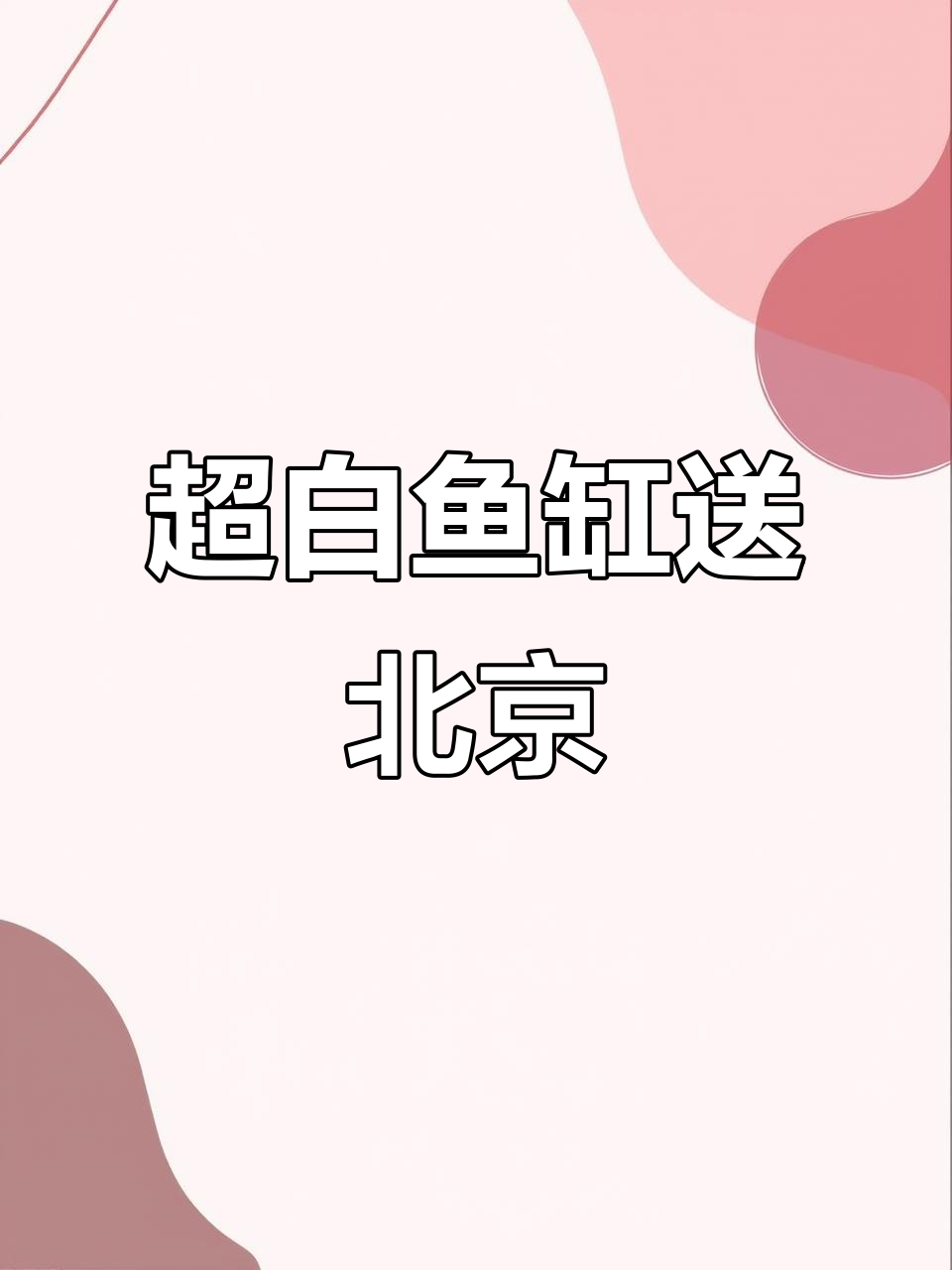 1.2米超白鱼缸，兰寿金鱼专用设计