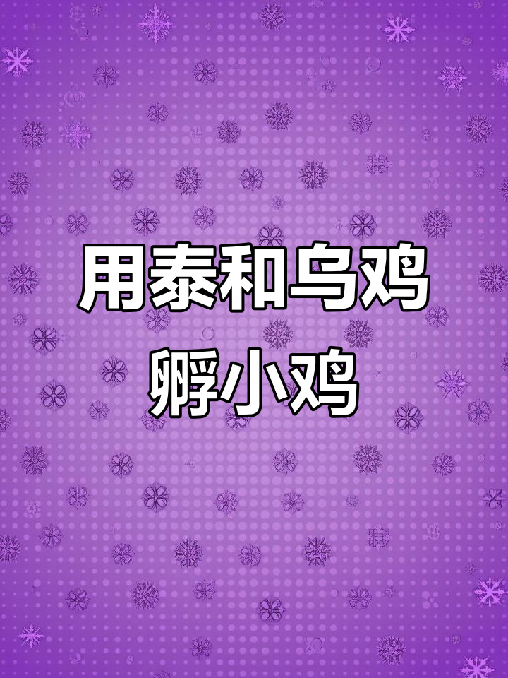 乌鸡孵化一窝小鸡，贵妃鸡和绿壳蛋丝毛乌鸡的成长故事