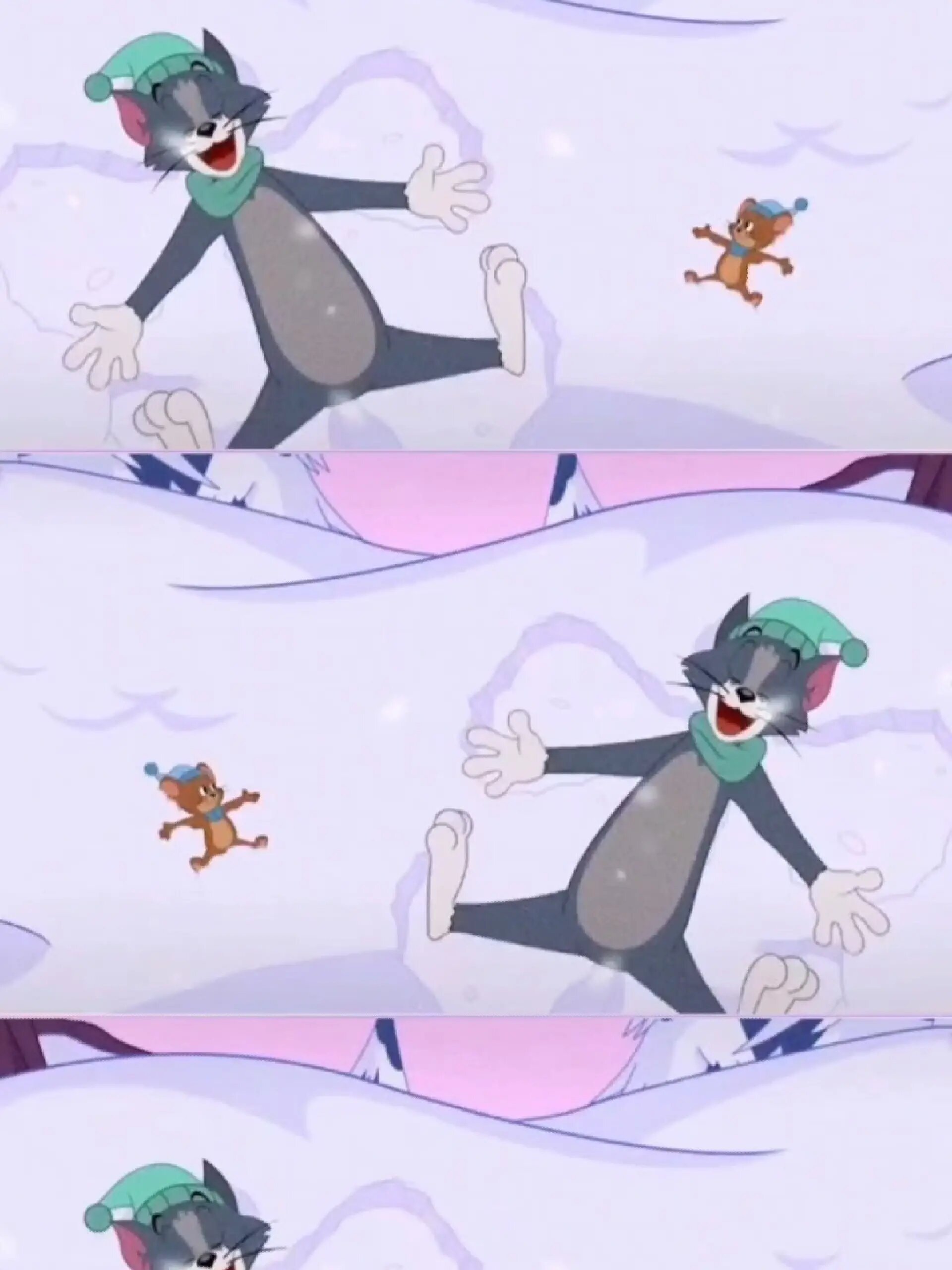 猫和老鼠系列高清视频动漫分享