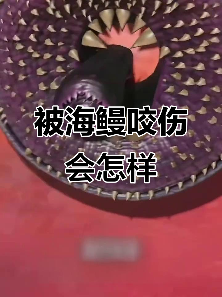 海鳗咬伤的致命后果,了解这些寄生虫如何攻击猎物