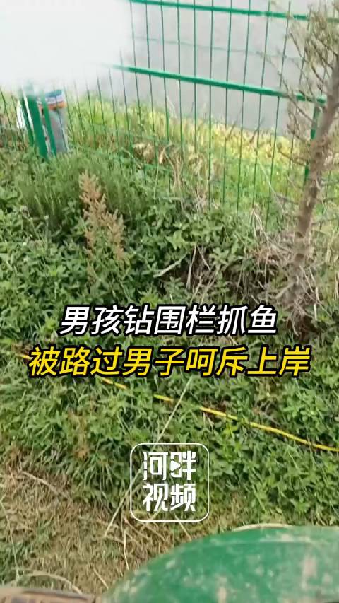 「用最凶的语气做最暖的事!男孩钻围栏抓鱼被路过男子呵斥上岸」6月1日,河南驻马店。吴先生去