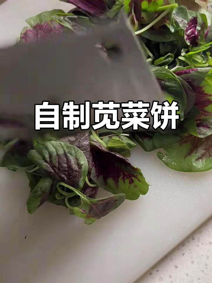 苋菜饼做出来有点咸,但味道还不错