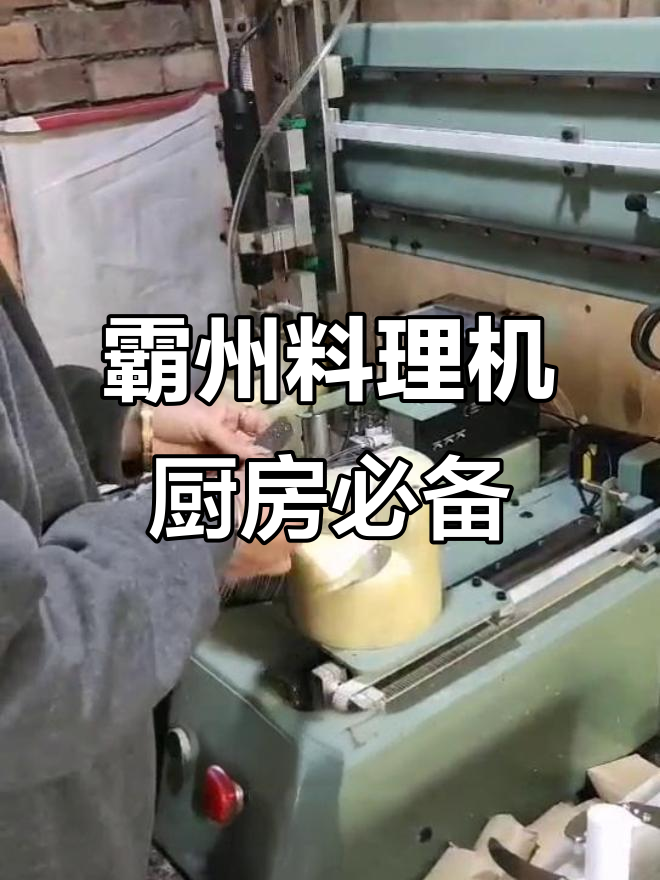 霸州料理机与绞肉机的完美搭配,厨房神器助力高效烹饪