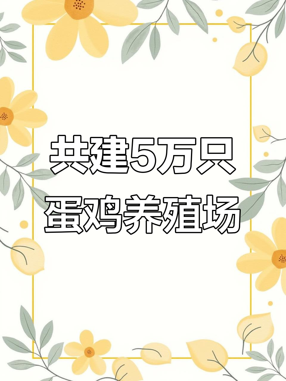 合作建设5万只蛋鸡养殖场,助力乡村振兴