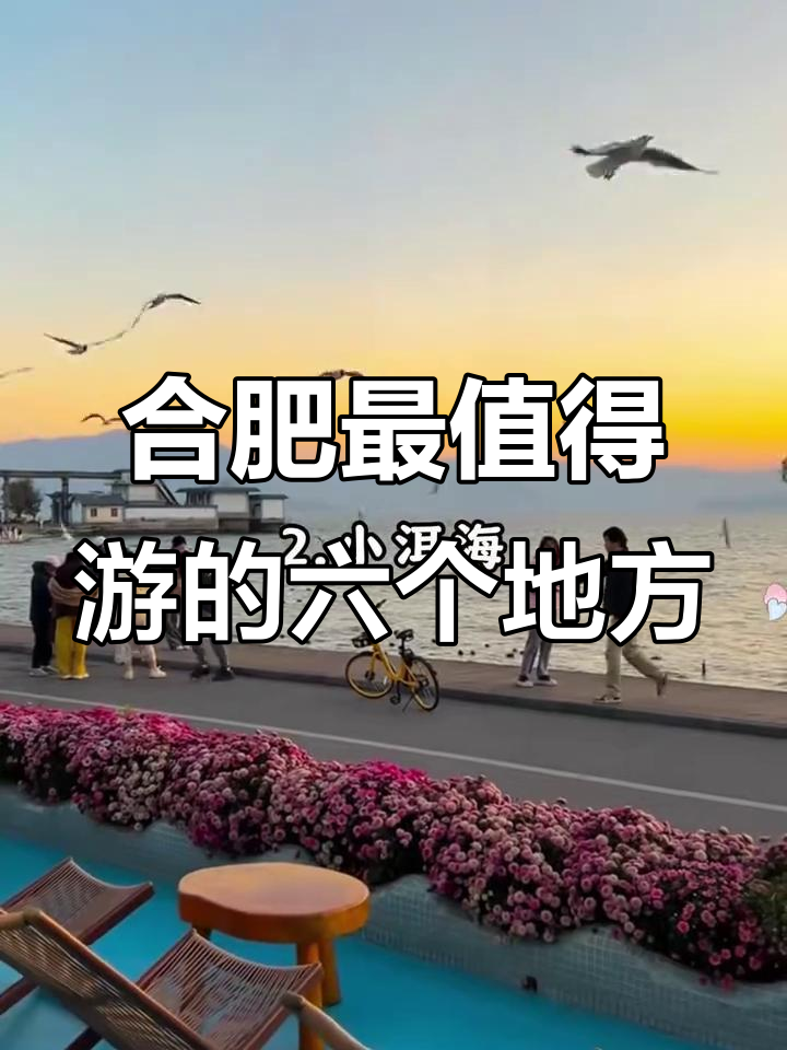 合肥六大必打卡景点，玩转滨湖森林公园与天鹅湖