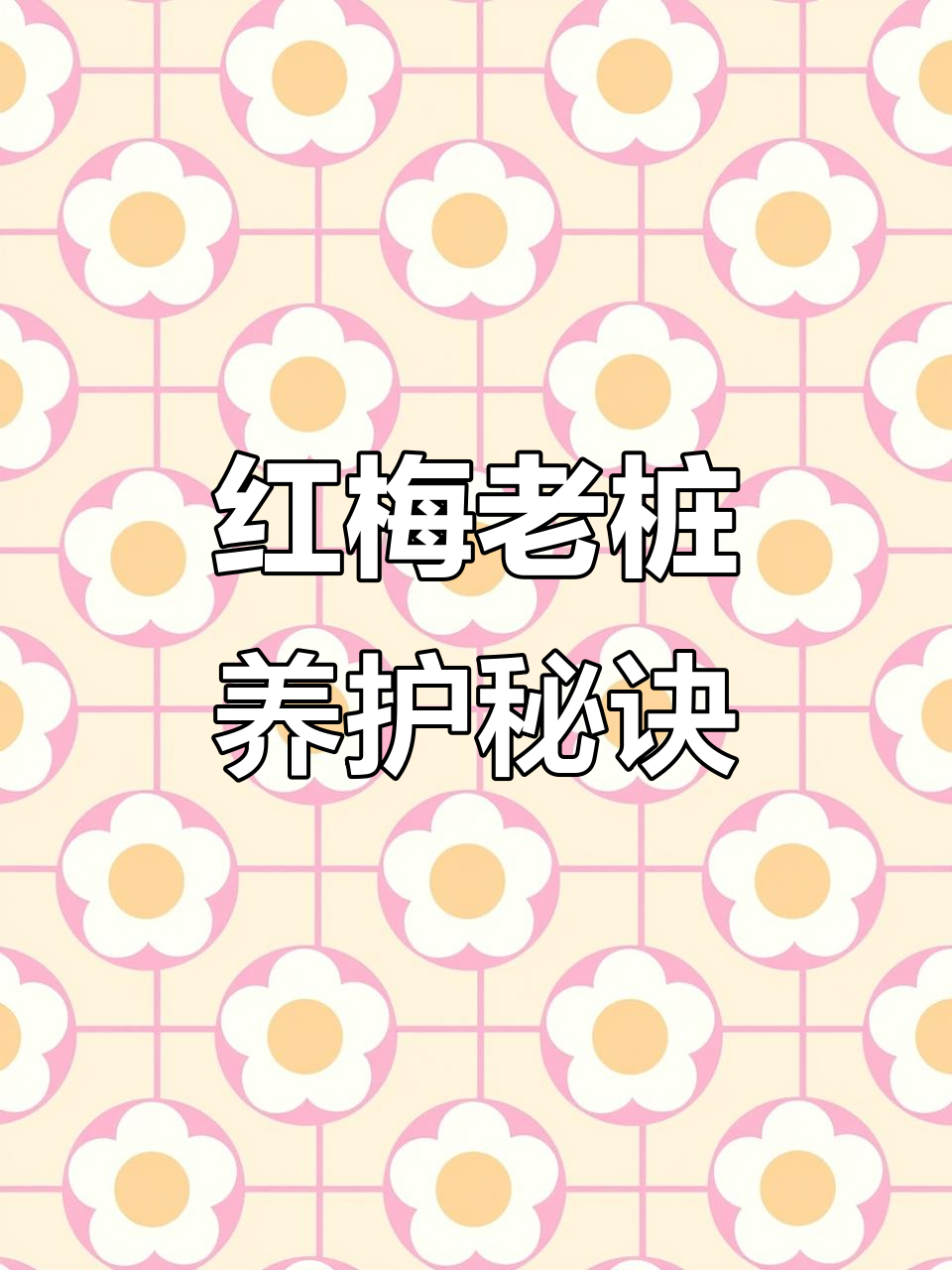 春耕时节,多肉植物爱好者分享红梅老桩养护技巧