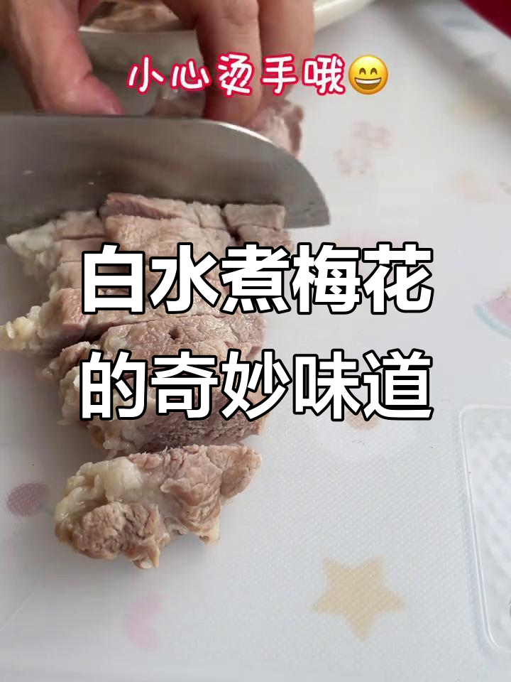 梅花肉煮白水,竟能如此美味!感谢橙皮带来的惊喜