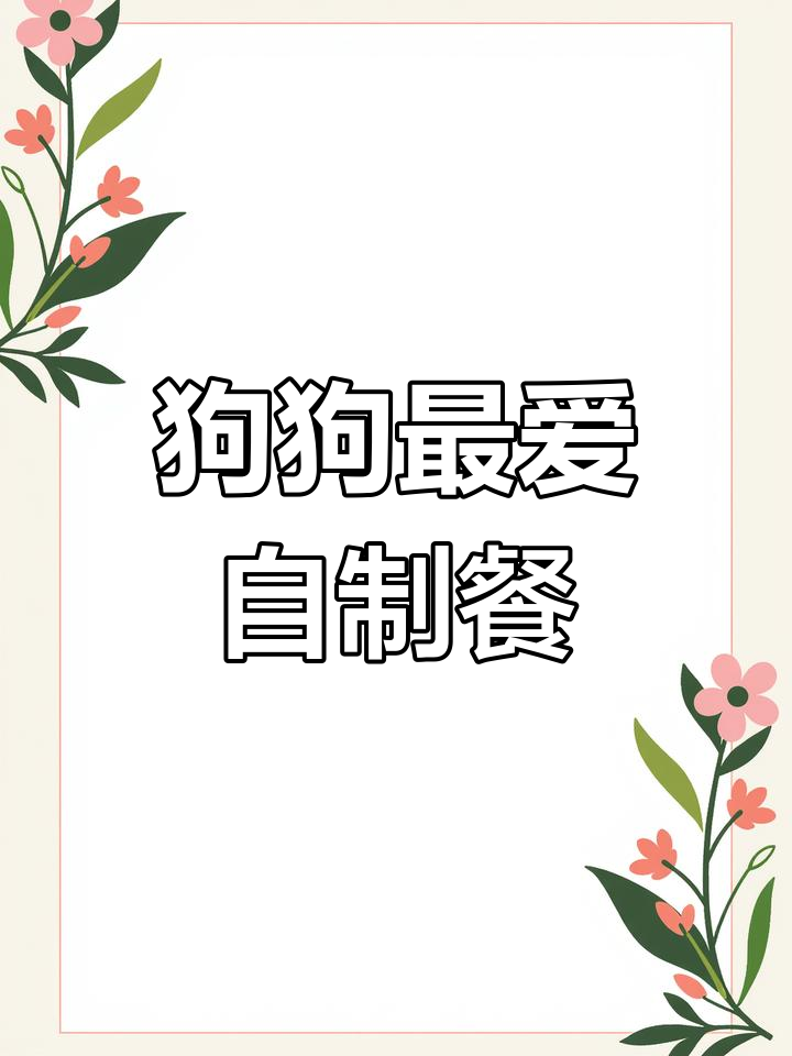 自制营养狗饭,比熊超爱吃!