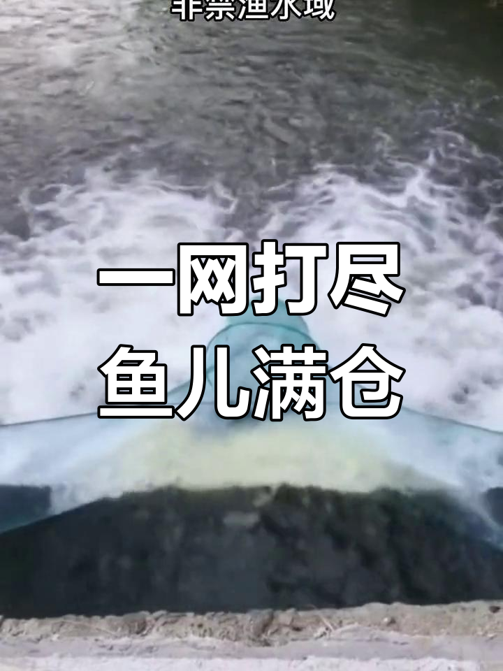 轻松捕鱼,河道全覆盖网具