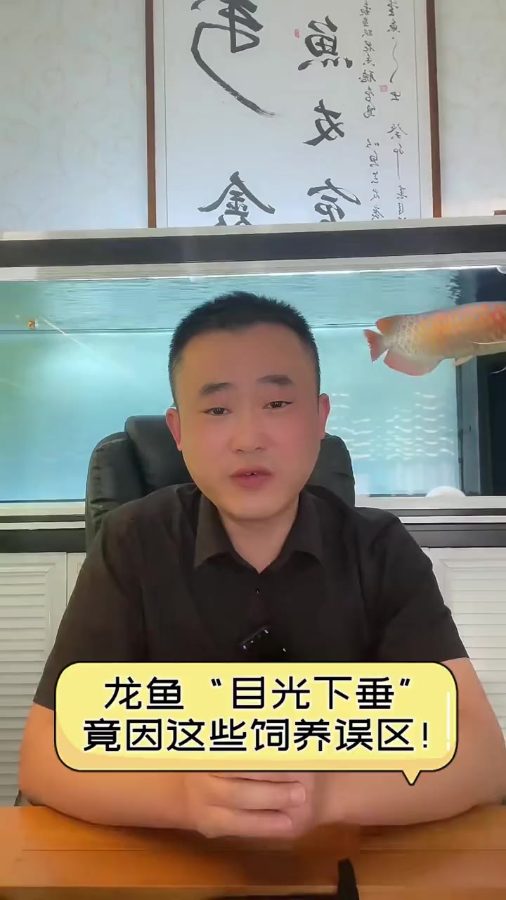 龙鱼“目光下垂”,竟因这些饲养误区!