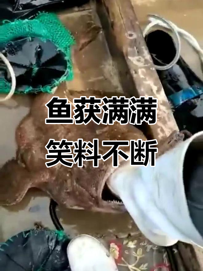 钓鱼大丰收,表情超搞笑!