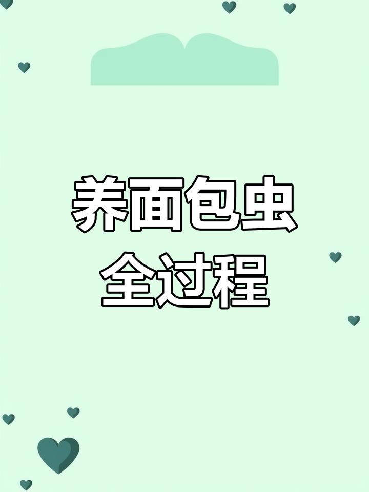 面包虫养殖全攻略,快速繁殖循环喂养