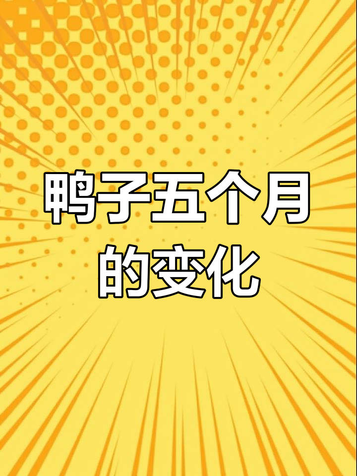 五个月后,黄色小鸭变样了