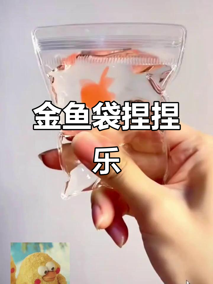 这款金鱼袋硅胶玩具，解压又好玩！