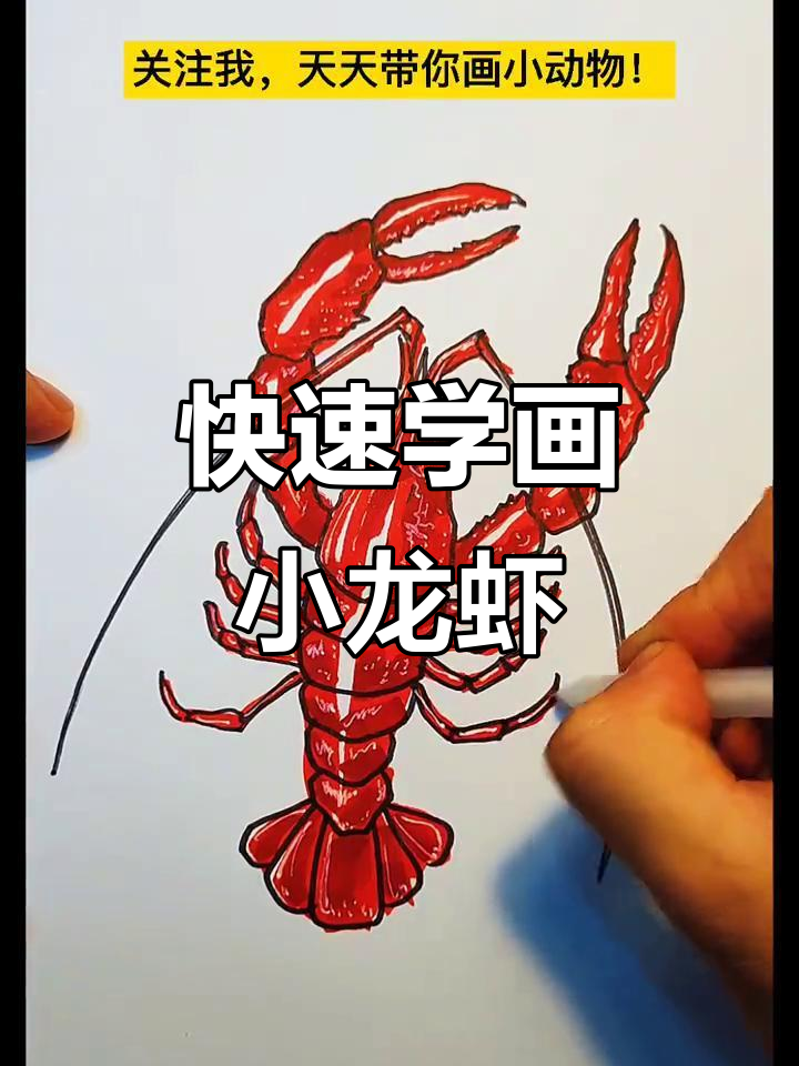 一分钟学会画小龙虾，简单又有趣！