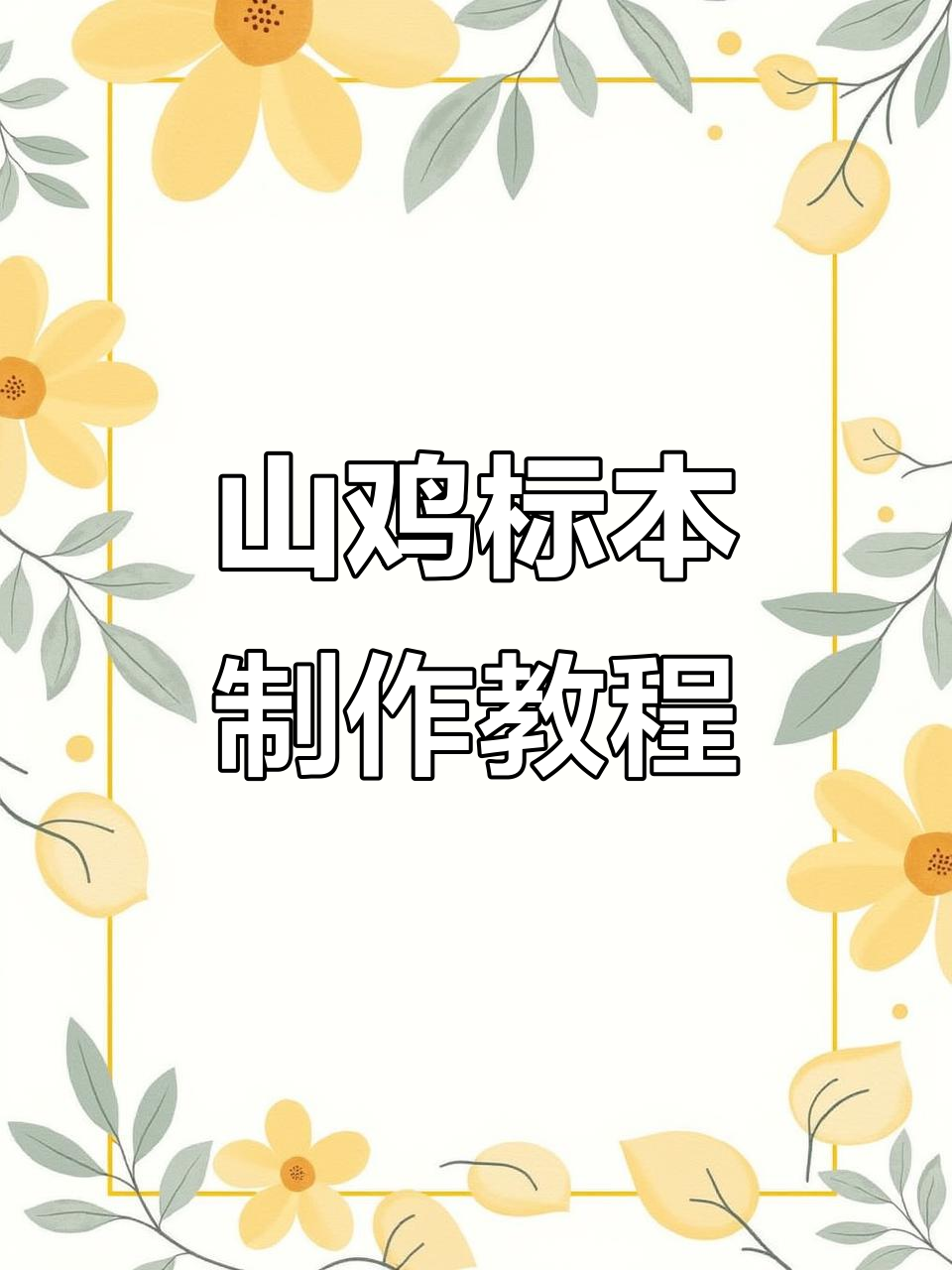 遥控电动山鸡模型制作与培训，打造栩栩如生的标本