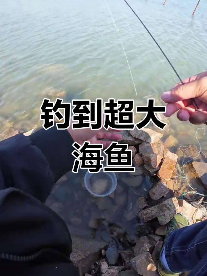 帕蒂湖钓鱼挑战,超大趴地虎现身