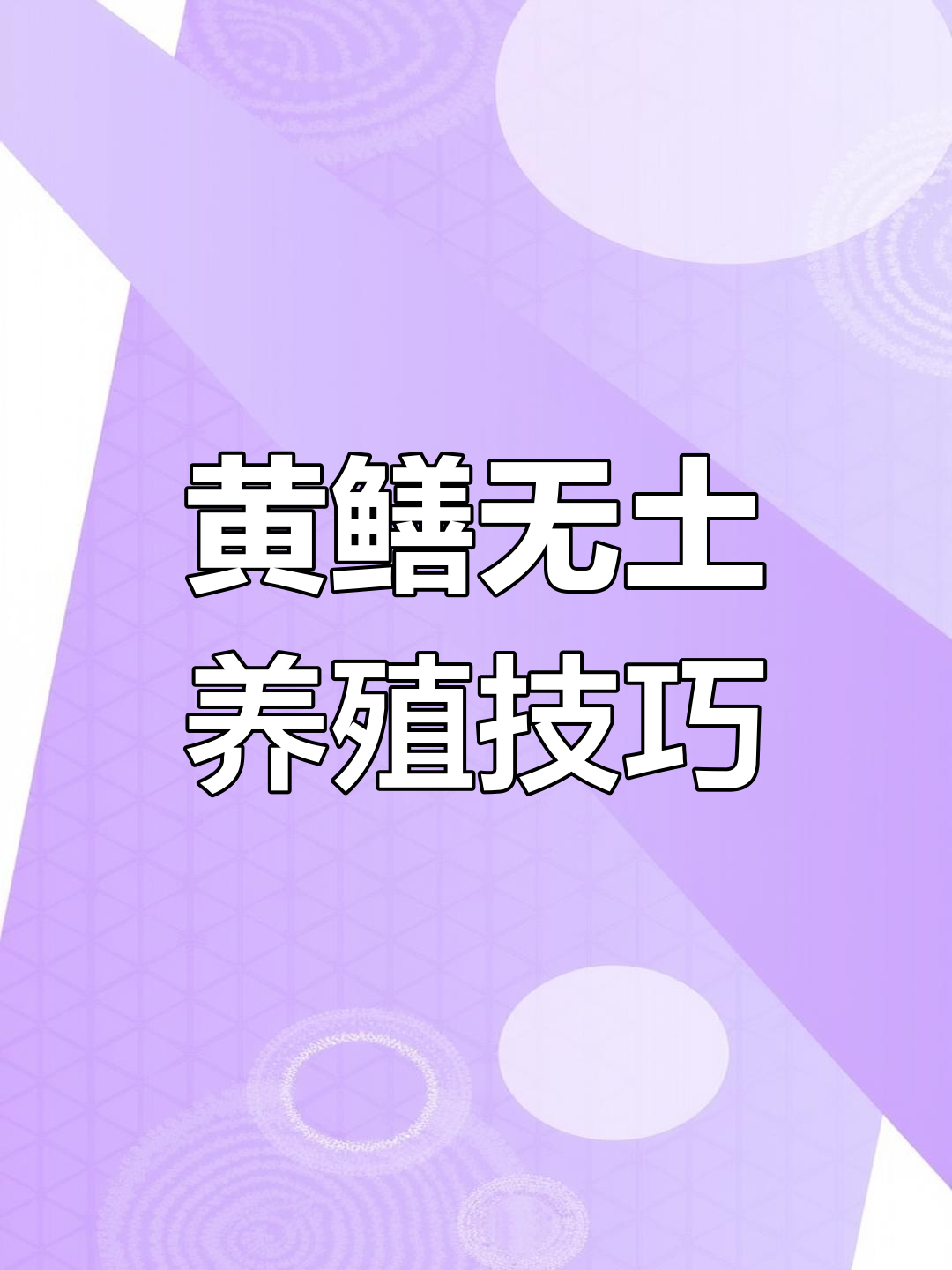 无土养殖黄鳝,网箱技术大揭秘