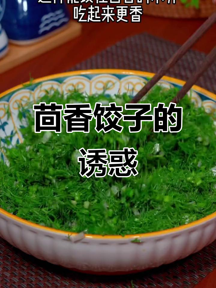 茴香猪肉饺子,香气扑鼻,咬下去满口幸福