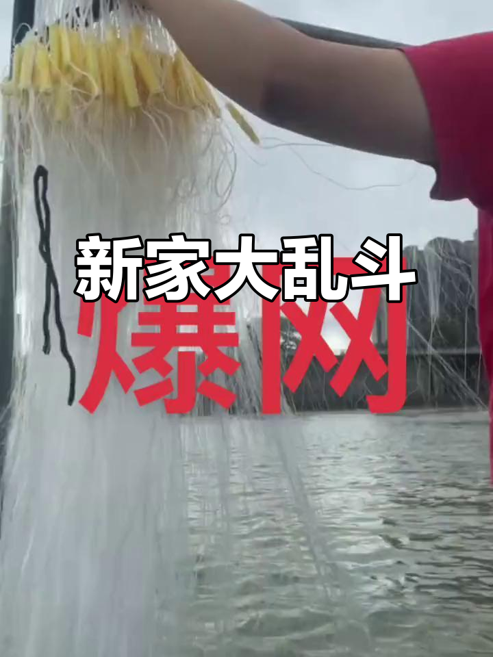 刚搬新家,玩具、糕点齐飞!