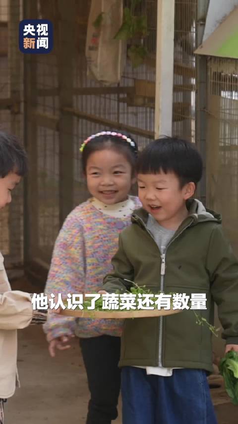 「劳动课学啥 这也太好玩了吧」最近,江苏徐州徐海路幼儿园的劳动课火了。切菜、炒菜、炒面、烙