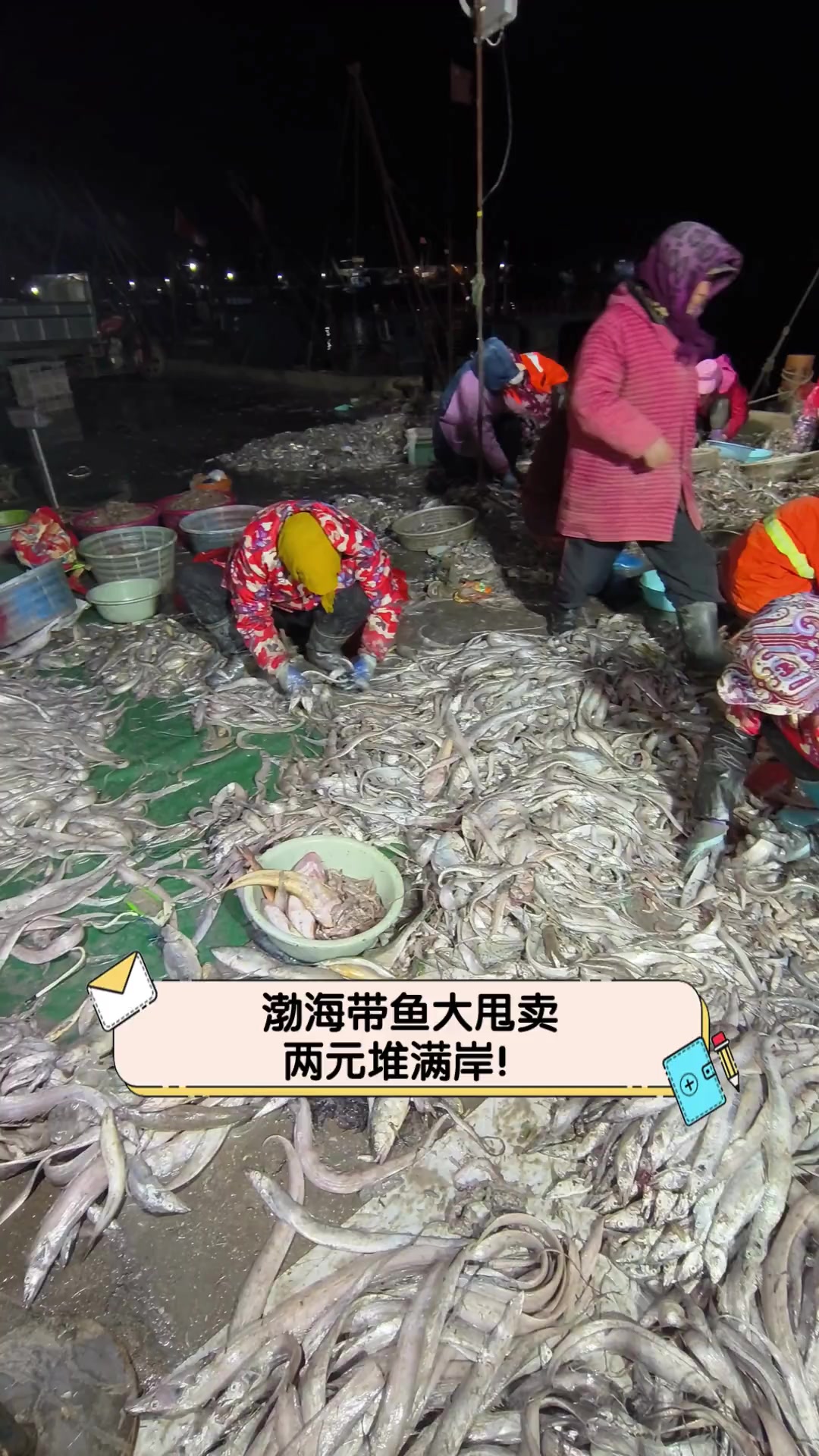 渤海带鱼大甩卖,两元堆满岸!