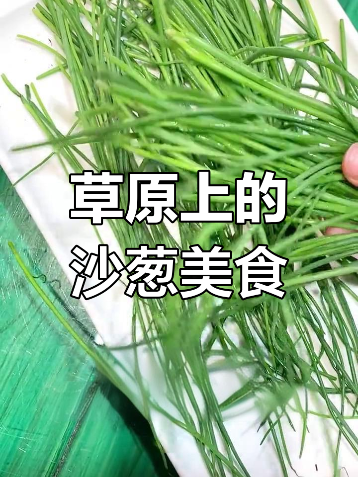 内蒙古西部特产沙葱,炒鸡蛋、做包子都超美味